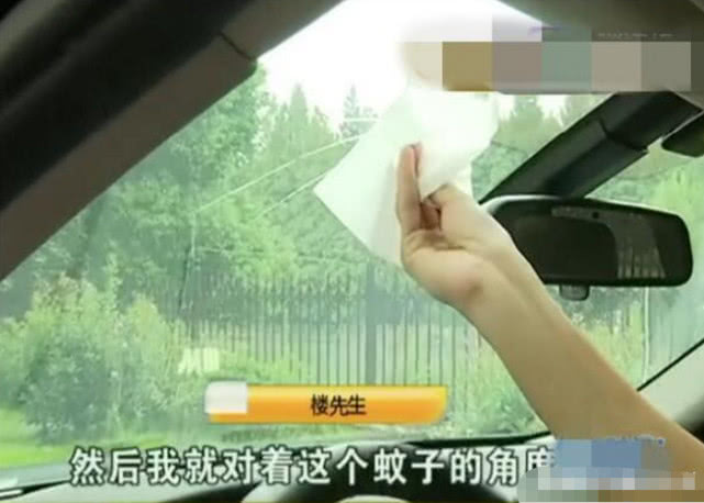 男子宝马车里拍死一只蚊子，损失8000多块，4S店：我们要倒霉了休闲区蓝鸢梦想 - Www.slyday.coM