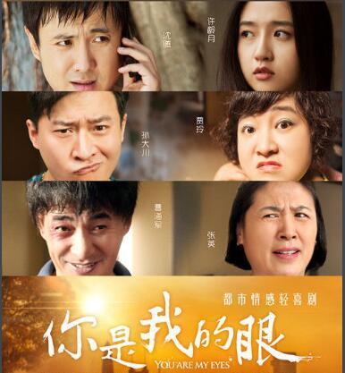想不到沈腾和贾玲还合作过电视剧!好剧推荐《你是我的眼》