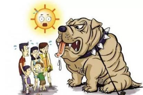 怕狗的人在这几种情况下,遇到狗怎么办?
