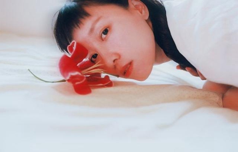 知否知否,繁花落尽便是翠叶渐浓