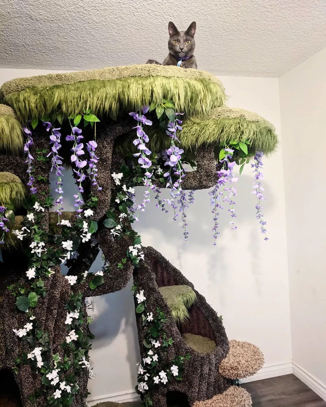 实不相瞒这应该是我见过最炫酷的猫树了简直就是猫咪天堂