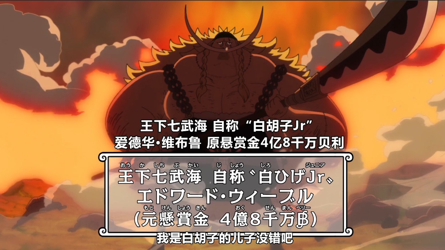 戴上头巾实力翻倍,他有白胡子年轻时的实力,他戴上就能秒杀敌人