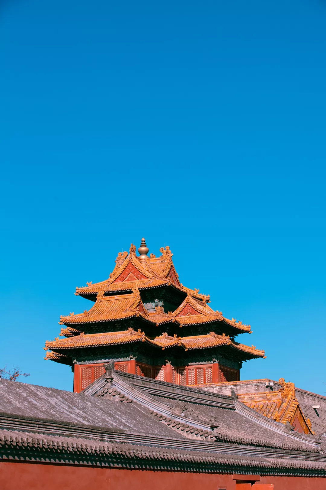 也确实,在湛蓝背景的映衬对比下,金色的琉璃才越发好看!