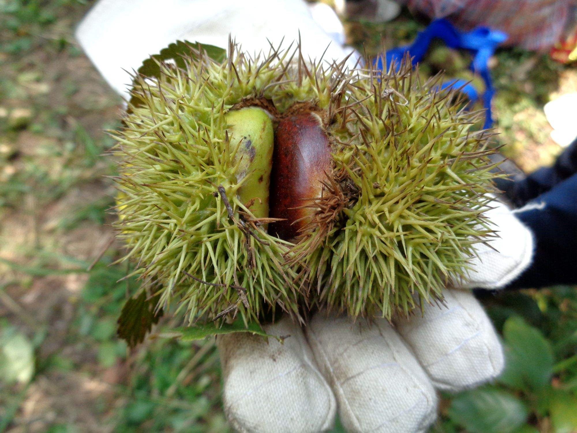 湖北又一即将崛起的县,有2个天堂级景点,将成为下一个旅游名城