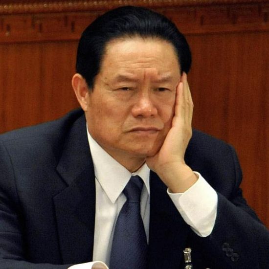 7月29日，国际爱虎日，中纪委打下了改革开放后以来首只正国级“大老虎”。