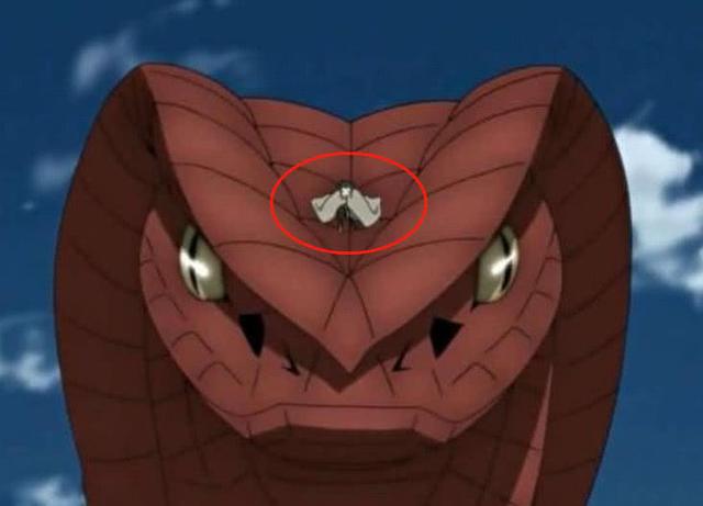 这一点说明一切|佐助|青蛇|通灵_新浪新闻