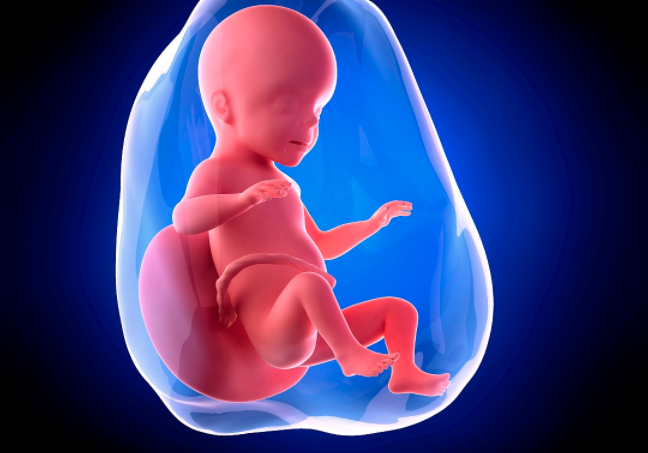 怀孕期间,孕妇怎样判断胎宝宝的头在哪儿,脚在哪儿?不妨了解