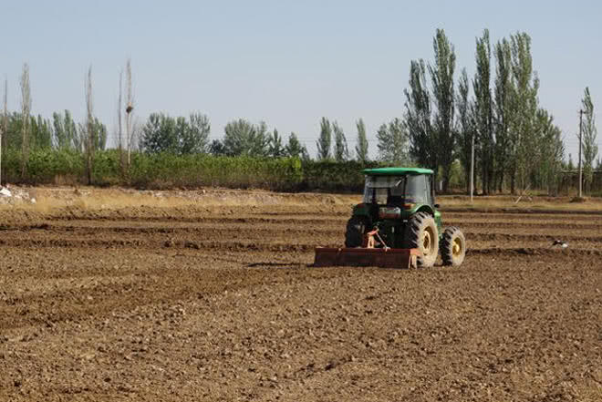 给大家说一个常见的现象,在一年种植2季的区域,比如小麦一季,玉米或