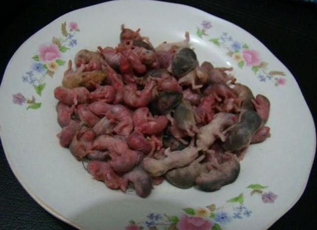 三吱儿,中国十大禁菜之一,极其残忍,极其恶心,胆小的没入哦