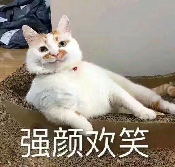 自从工作以后,从喜欢发沙雕表情包的我变成这个样子