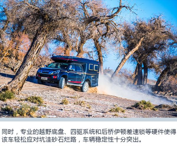 胡杨林逐星之旅 开皮卡房车 享受另一番生活方式-图12