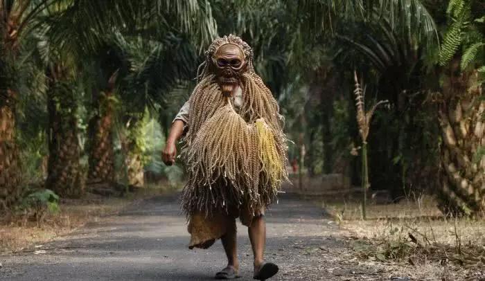 世界最"懒"民族,一年四季不干活靠"空投"救济,游客:真幸福