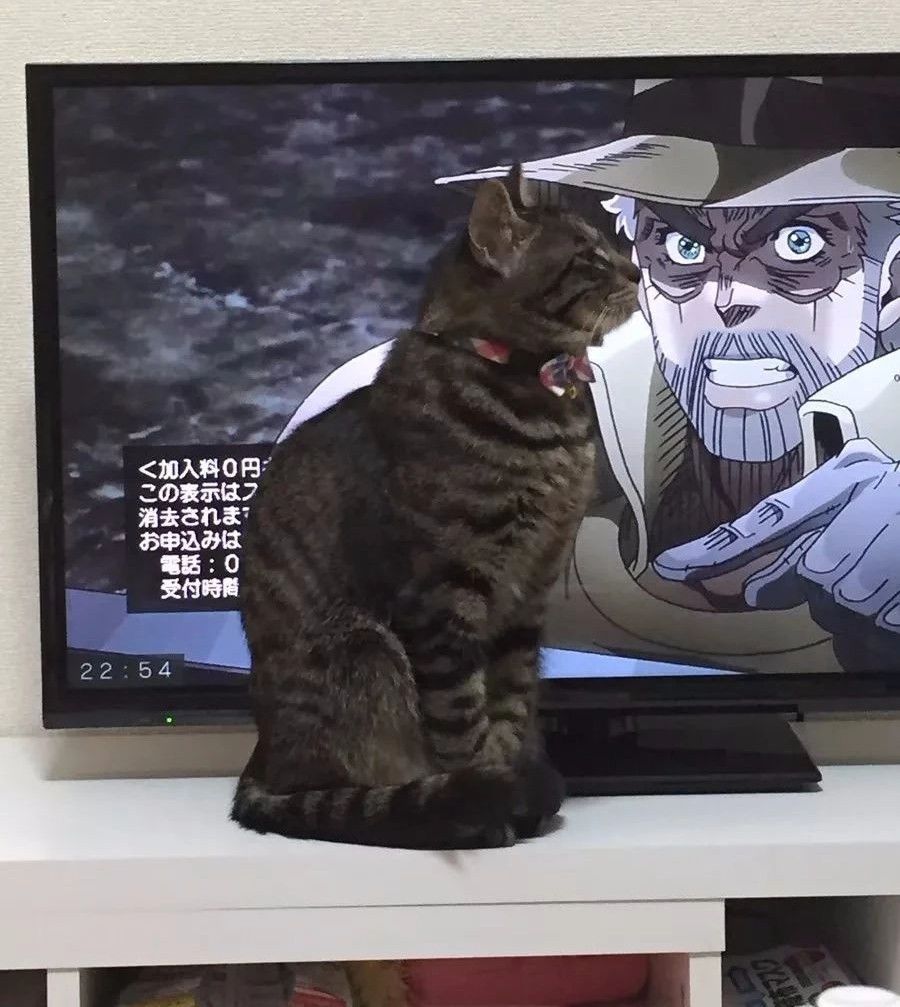 你好哇,小可爱~羽生结弦小哥哥,快舔屏~不听不听,王八念经……卡哇伊