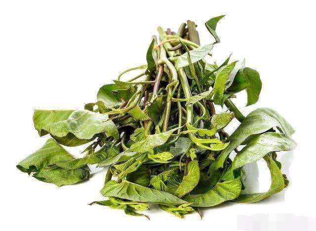 另外,空心菜还含有非常丰富的纤维素,如果经常吃空心菜可以帮助降低体