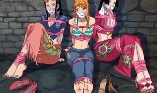 海贼王小说迎娶娜美收养女帝成为海贼王这个作者真敢写