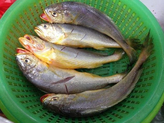 厨师说漏嘴:炒花甲时,只需一招,肉质鲜嫩可口,没有腥味