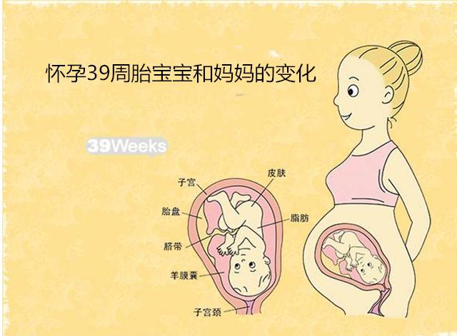 怀孕几周才算是真正足月不是37周也不是40周