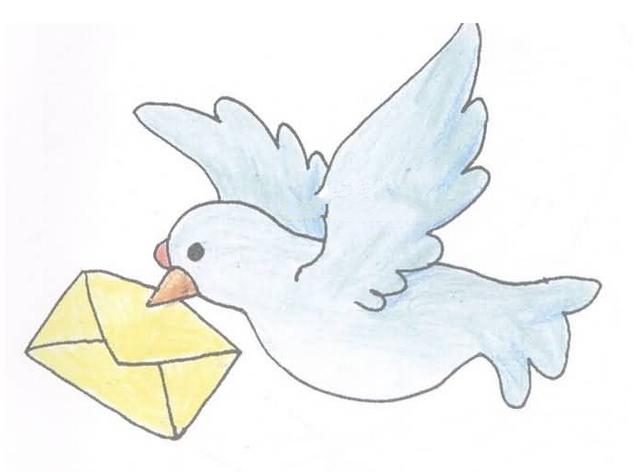 鸽子为什么能远距离送信靠地球磁场辨别方向不只这么简单