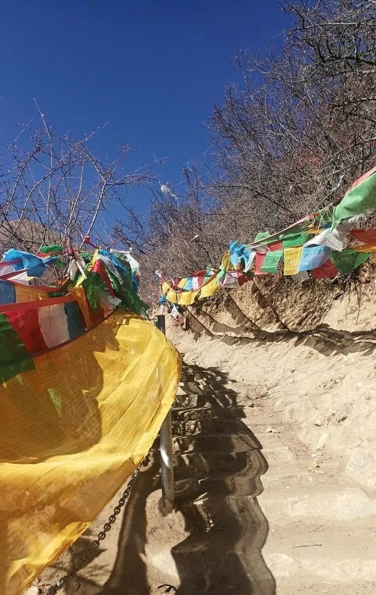 探秘西藏山南扎央宗溶洞天然溶洞入洞必须攀援10米高的木梯