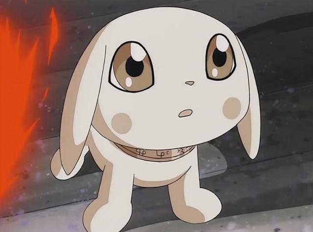 1,嘉尔的可爱数码小狗:小狗兽你看过么,下面这些狗狗你最爱哪个?