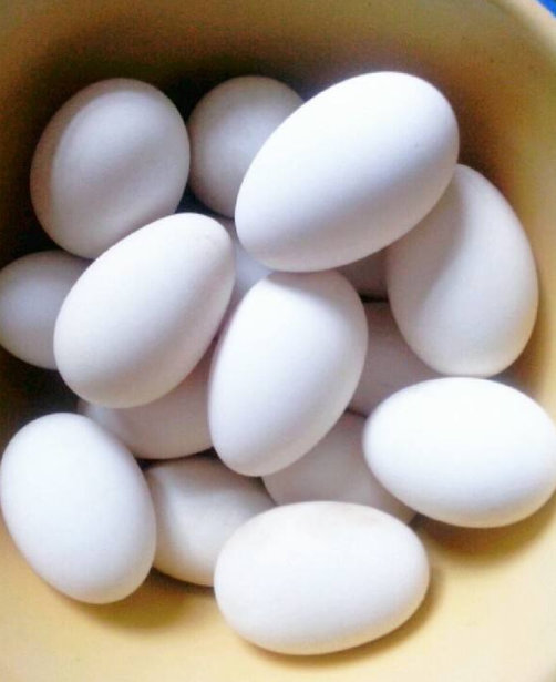 鹅蛋清胎毒是真是假孕期多吃鹅蛋增强免疫力胎儿更聪明