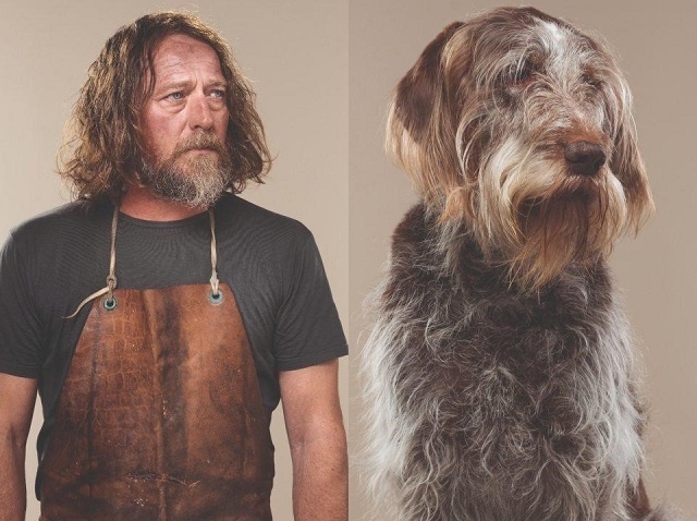 英国动物肖像摄影师人模狗样到底是人像狗还是狗像人