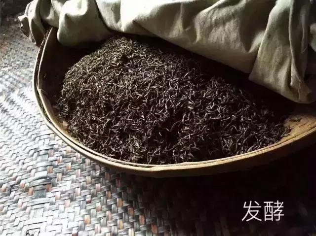 喜欢喝红茶全世界的红茶都来源于这里你知道吗