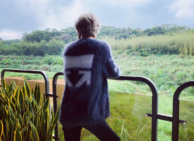 薛之谦开拍新mv却放出蜘蛛照片网友要发新歌吗