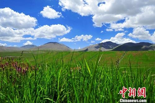 资料图：青海祁连山区生态环境治。中新社记者 赵晓东 摄