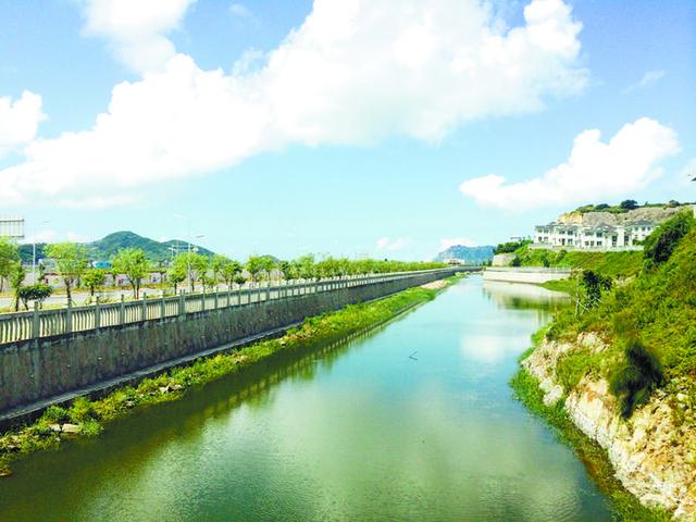 洞头seo排名优化