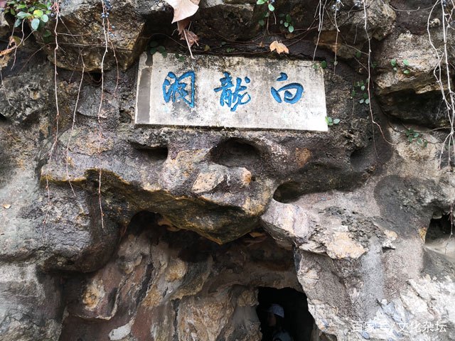 三条蛇成就了镇江金山寺的鼎鼎大名|金山寺|白蛇传|法海_新浪新闻
