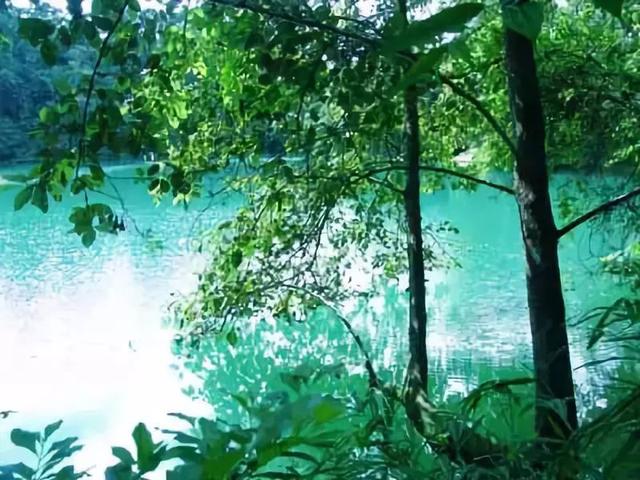 云南小众旅行地,最适合现在去打卡