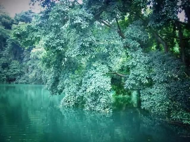 云南小众旅行地,最适合现在去打卡