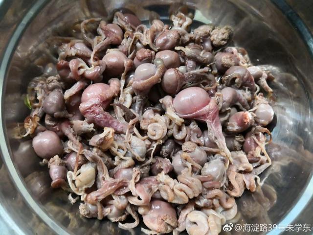 江南乡野土菜大蒜炒猪卵子!