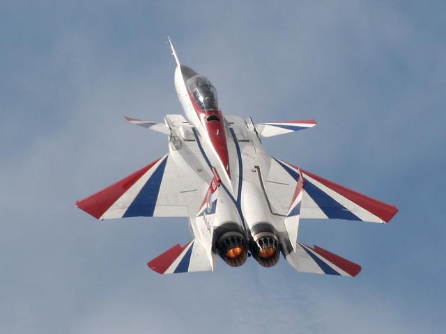 美军所有战机都没有鸭翼凡事没有绝对看麦道f15鸭翼战斗机