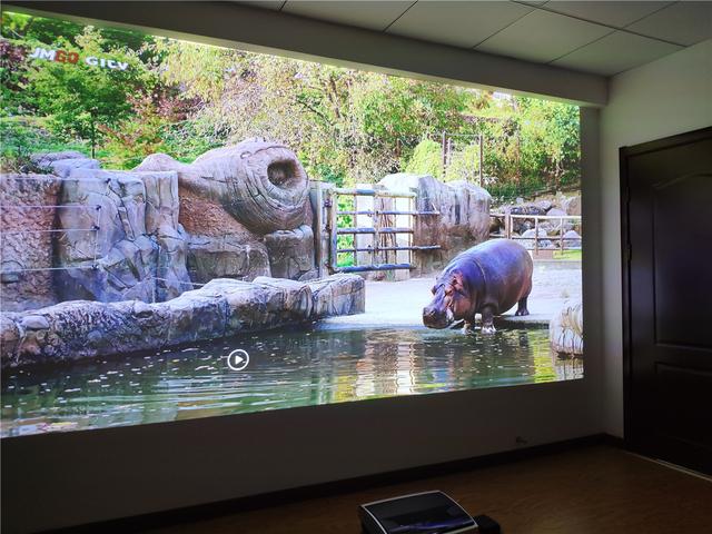 小户型,大户型,单身公寓等房子,该如何选购巨幕投影仪?