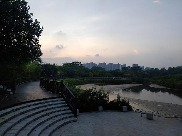 降温的周末,惠州这个湿地公园来了一群小生灵|大自然|湿地公园|生灵_