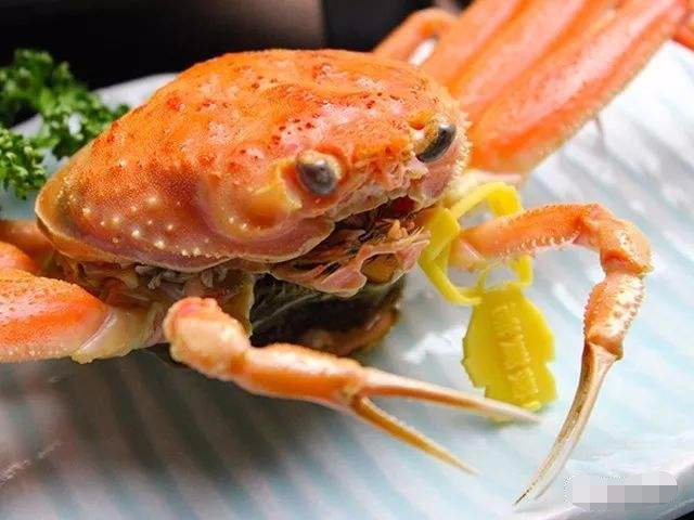 世界上"最贵"的螃蟹,一只12万,网友:一口吃掉一年的工资!