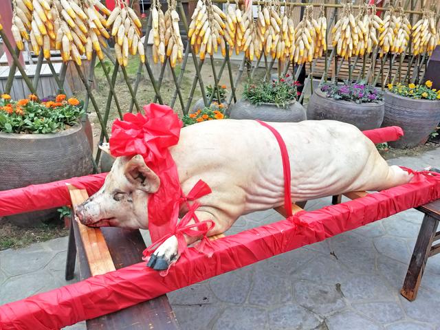 嘿,土家幺妹喊你到锦里沟吃年猪宴啦!