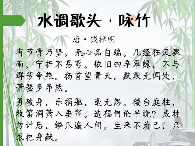 16首著名咏竹诗,第一首就很值得背诵|竹子|竹都|郑燮_新浪新闻