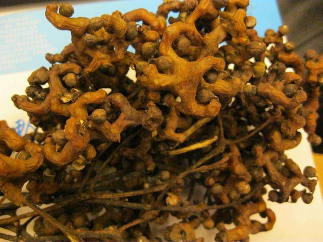 长得像"鸡爪"却是野果子,小时候吃过,现在已经很少见了|拐枣|鸡爪梨