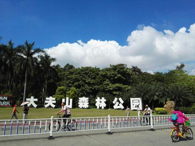推荐广州周边最适合新手的3条徒步路线攻略|大夫山森林公园|龙眼洞