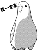 那些被放鸽子的经历