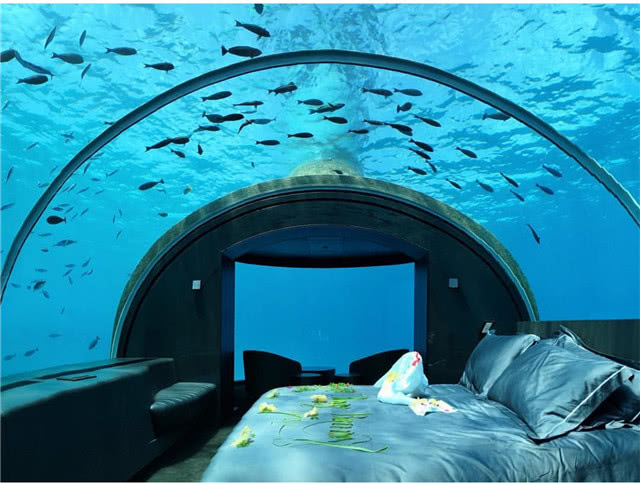 胡杏儿李乘德在海底房间共度二人世界 俩人手牵手看风景