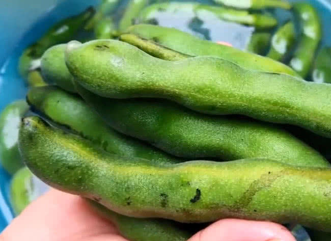 有霸气名字的"龙爪黎豆",是客家大叔最爱的美食,你有吃过吗?