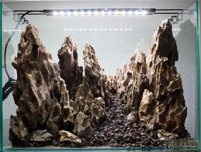 松皮石峡谷造景:松皮石高山峡谷造景缸,听说酸奶配莫斯更好看!