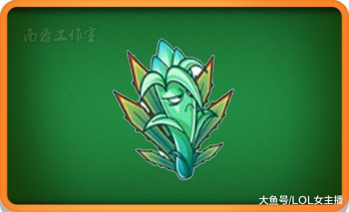 龙舌兰在植物大战僵尸中很少见到,因为也的确不是很好获得.