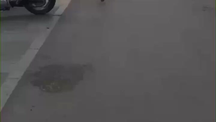 石家庄爆料 【岔河边有人非法乱收停车费 交警