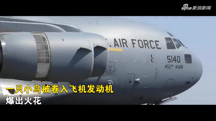 视频小鸟被卷入飞机发动机爆出火花飞机被迫中断起飞