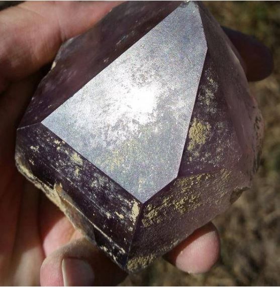 女子挖出神秘"石头",清理后仔细一看,兴奋不已